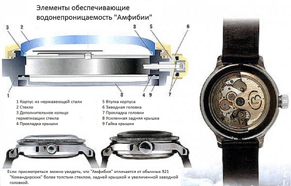 Часы Амфибия схема устройства